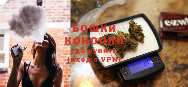 стаф Белокуриха